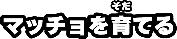 マッチョを育てる